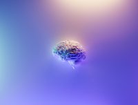 Neuralinks nieuwe robot bereikt elk deel van het brein